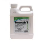 Permectrin-louse-pesticide
